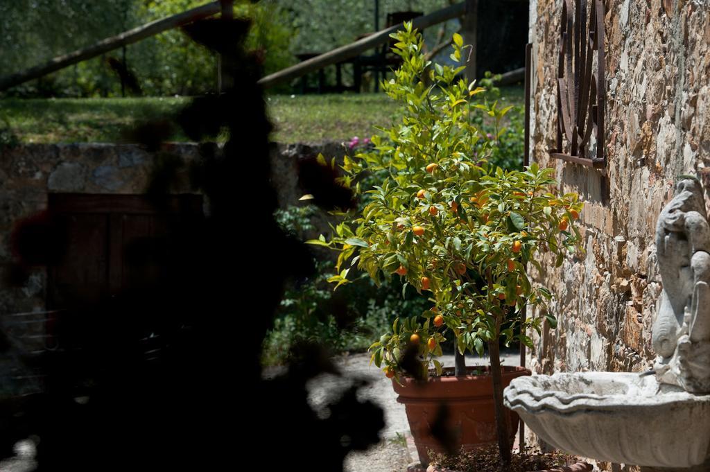 Sarna Residence San Quirico d'Orcia Exterior photo